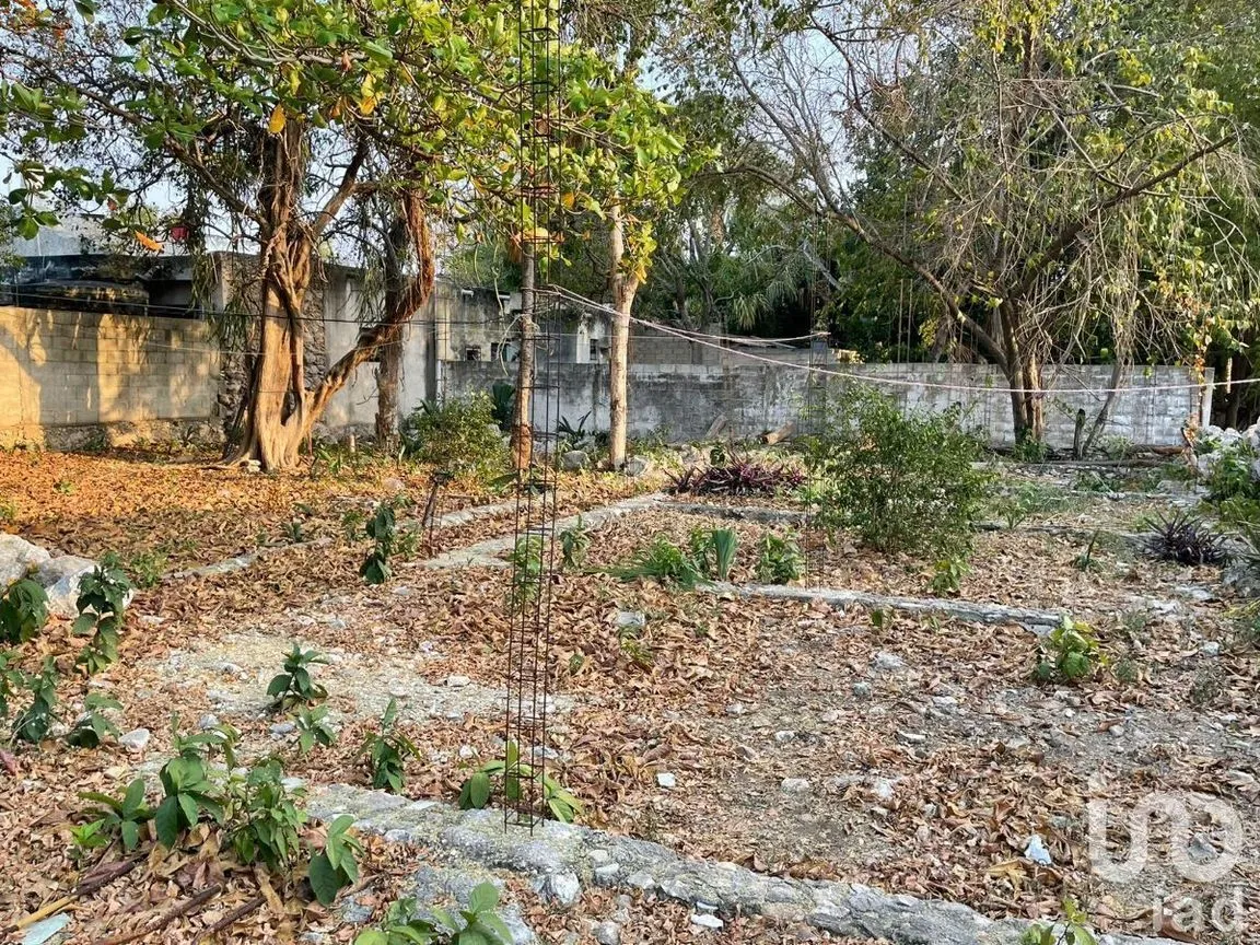 Terreno en Venta en Mérida Centro, Mérida, Yucatán | NEX-228213 | iad México | Foto 5 de 8