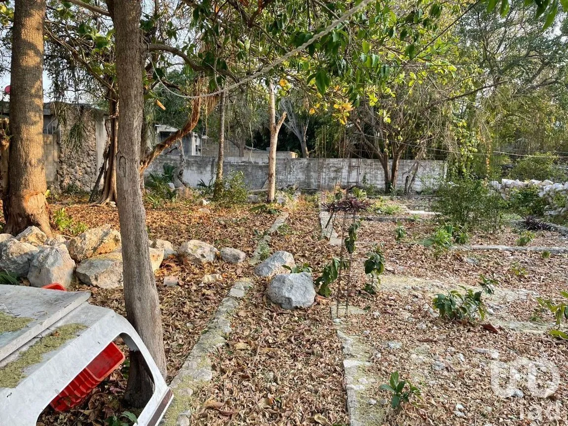 Terreno en Venta en Mérida Centro, Mérida, Yucatán | NEX-228213 | iad México | Foto 6 de 8
