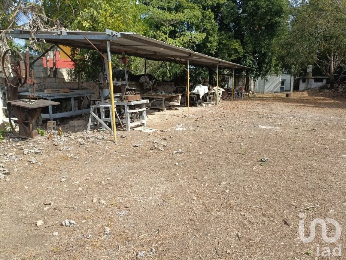 Terreno en Venta en Mérida Centro, Mérida, Yucatán | NEX-228214 | iad México | Foto 9 de 9