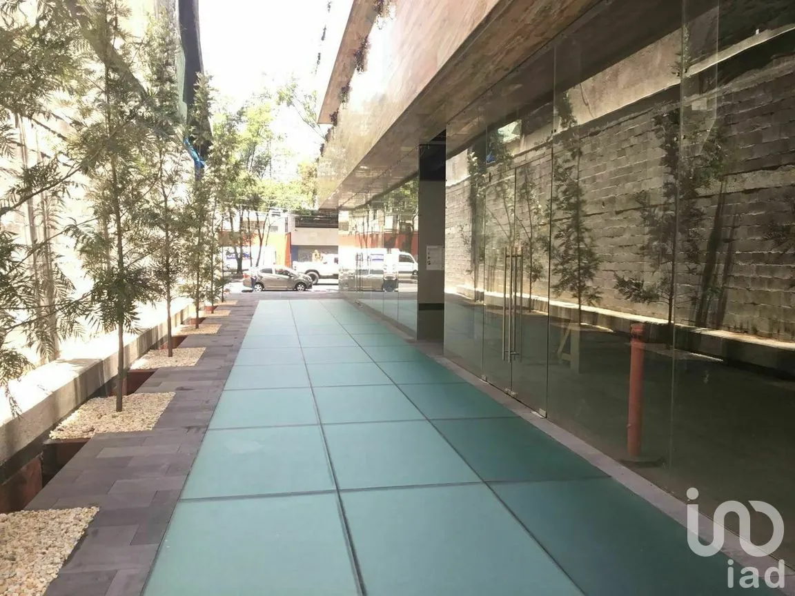 Oficina en Renta en Popotla, Miguel Hidalgo, Ciudad de México | NEX-266369 | iad México | Foto 8 de 14