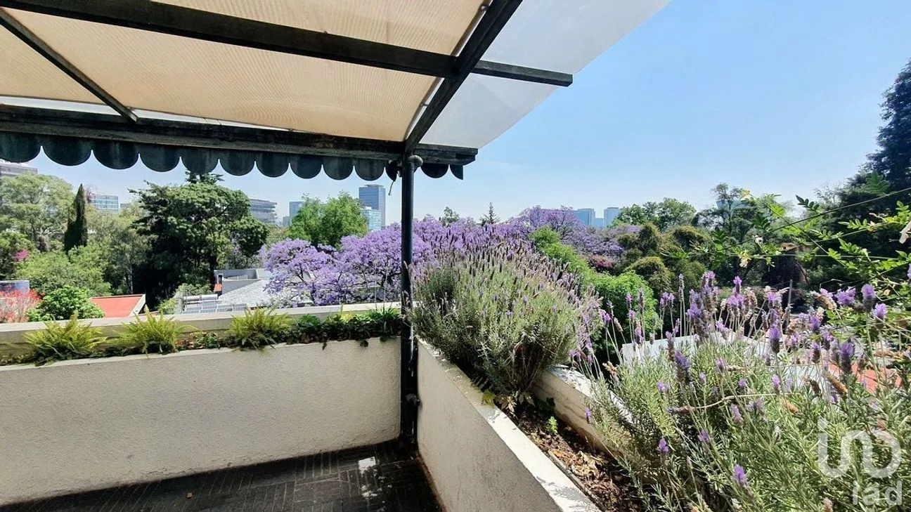Departamento en Venta en Lomas de Chapultepec I Sección, Miguel Hidalgo, Ciudad de México | NEX-271849 | iad México | Foto 18 de 26