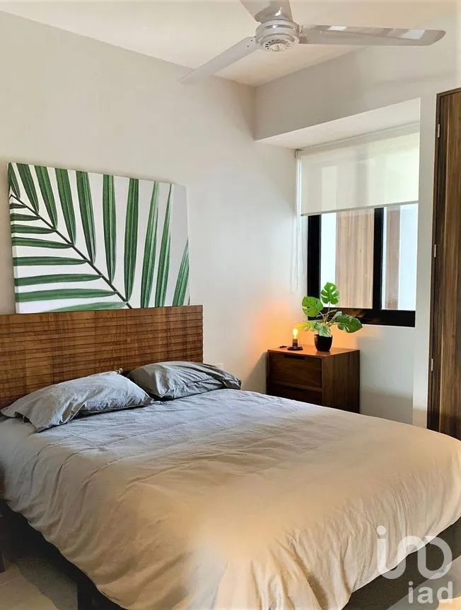 Departamento en Renta en Versalles, Puerto Vallarta, Jalisco | NEX-285238 | iad México | Foto 5 de 16