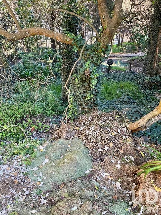 Terreno en Venta en San Andrés Totoltepec, Tlalpan, Ciudad de México | NEX-278869 | iad México | Foto 3 de 3