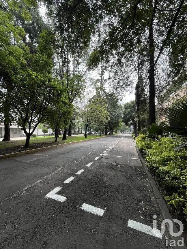 Departamento en Venta en Polanco II Sección, Miguel Hidalgo, Ciudad de México | NEX-227888 | iad México | Foto 3 de 30
