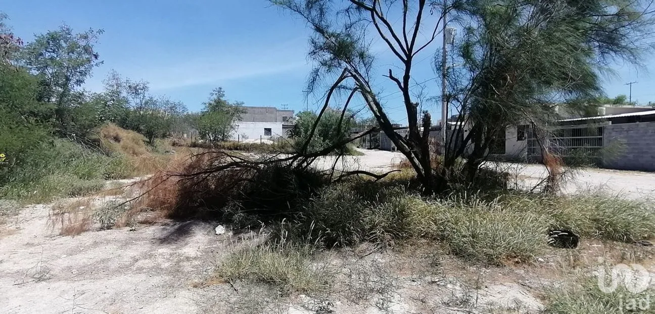Terreno en Venta en Luis Donaldo Colosio, Reynosa, Tamaulipas | NEX-228115 | iad México | Foto 5 de 12