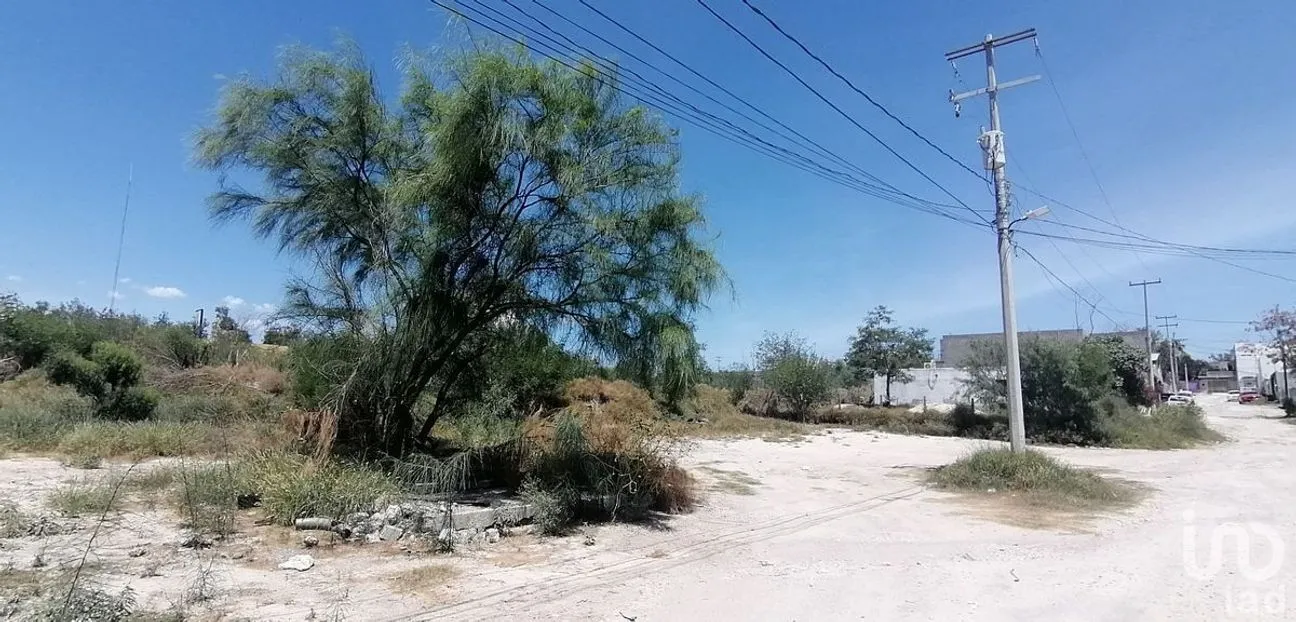 Terreno en Venta en Luis Donaldo Colosio, Reynosa, Tamaulipas | NEX-228115 | iad México | Foto 9 de 12