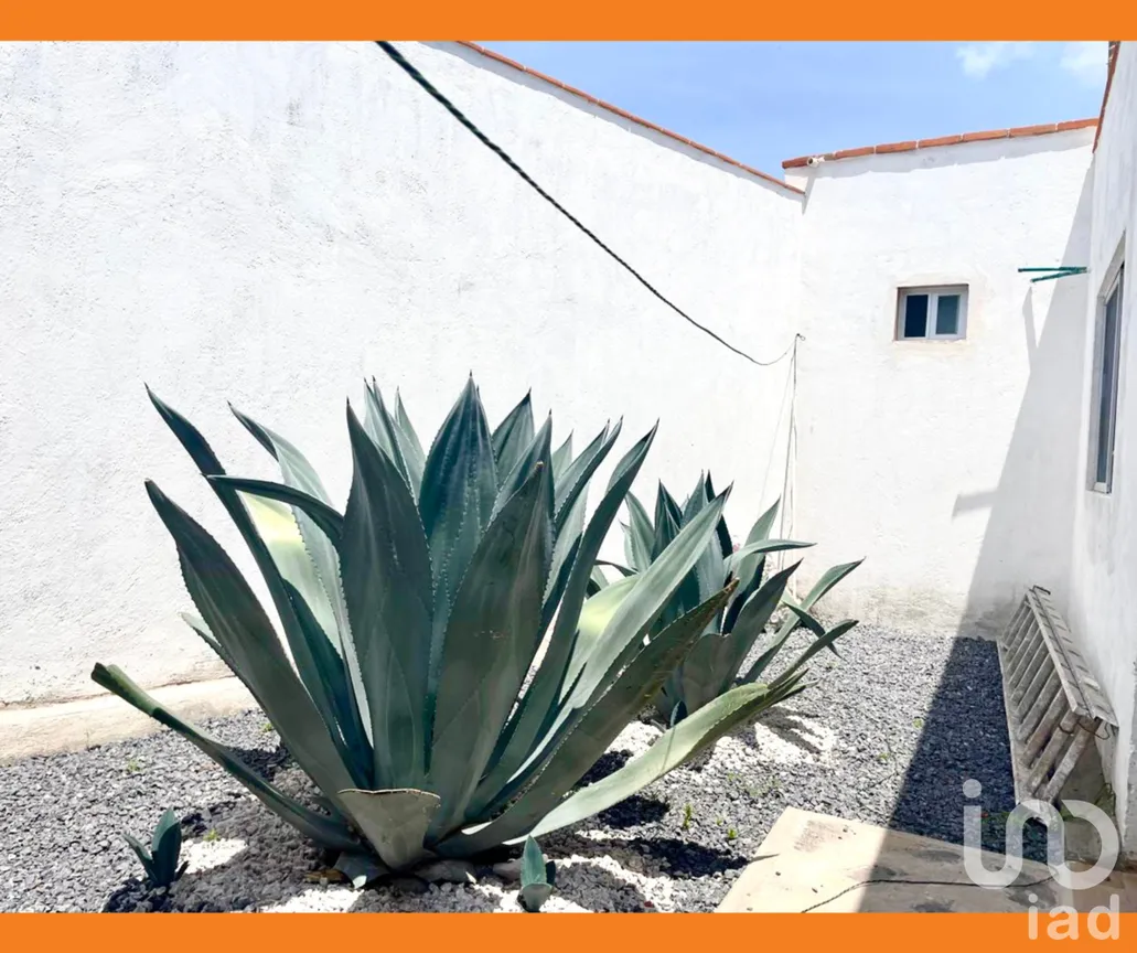 Casa en Renta en Adolfo Lopez Mateos, Tequisquiapan, Querétaro | NEX-229385 | iad México | Foto 5 de 5