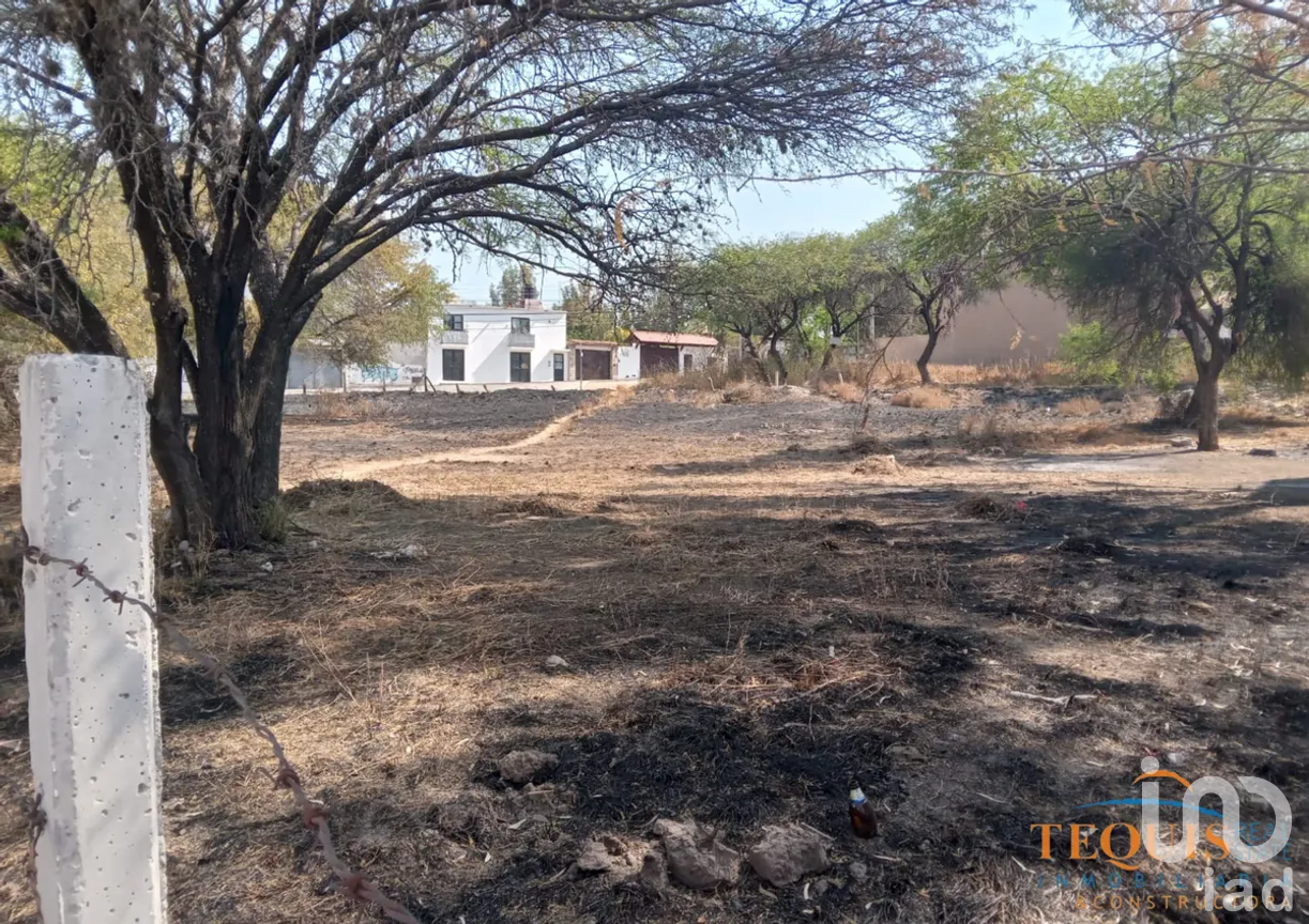 Terreno en Venta en Tequisquiapan Centro, Tequisquiapan, Querétaro | NEX-276173 | iad México | Foto 3 de 7