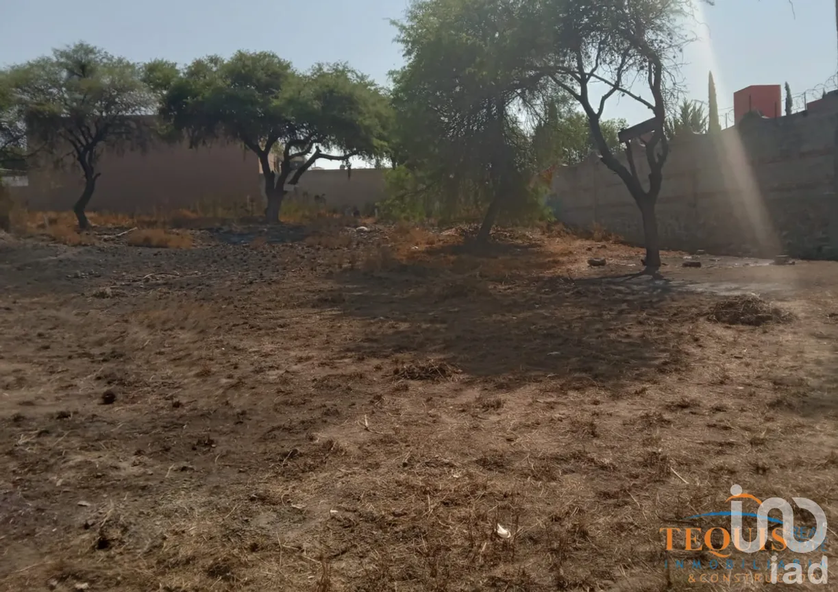 Terreno en Venta en Tequisquiapan Centro, Tequisquiapan, Querétaro | NEX-276173 | iad México | Foto 6 de 7