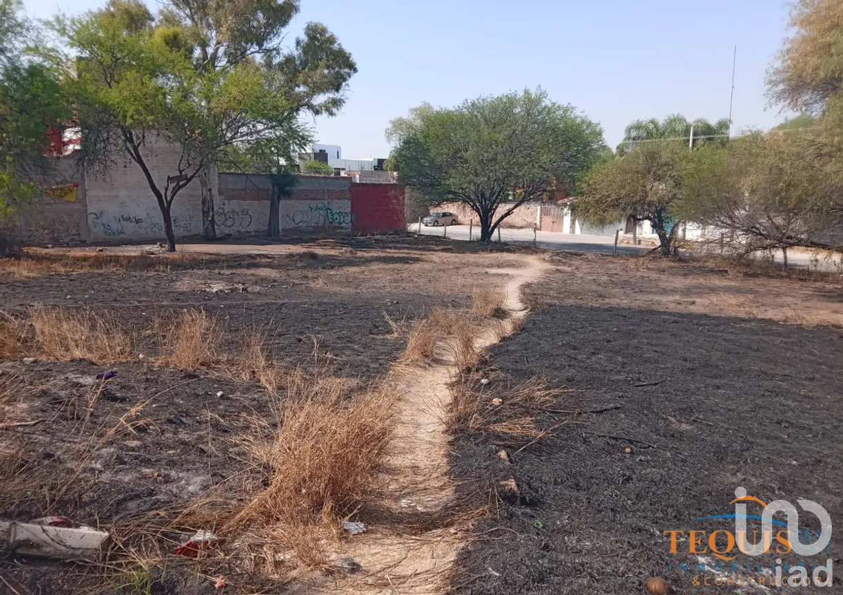 Terreno en Venta en Tequisquiapan Centro, Tequisquiapan, Querétaro | NEX-276173 | iad México | Foto 7 de 7