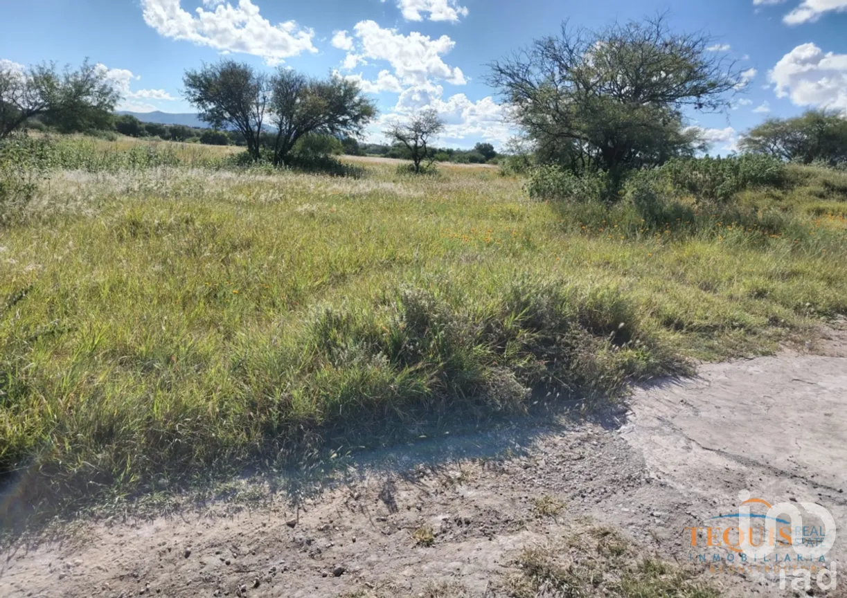 Terreno en Venta en Hacienda Grande, Tequisquiapan, Querétaro | NEX-276229 | iad México | Foto 2 de 6