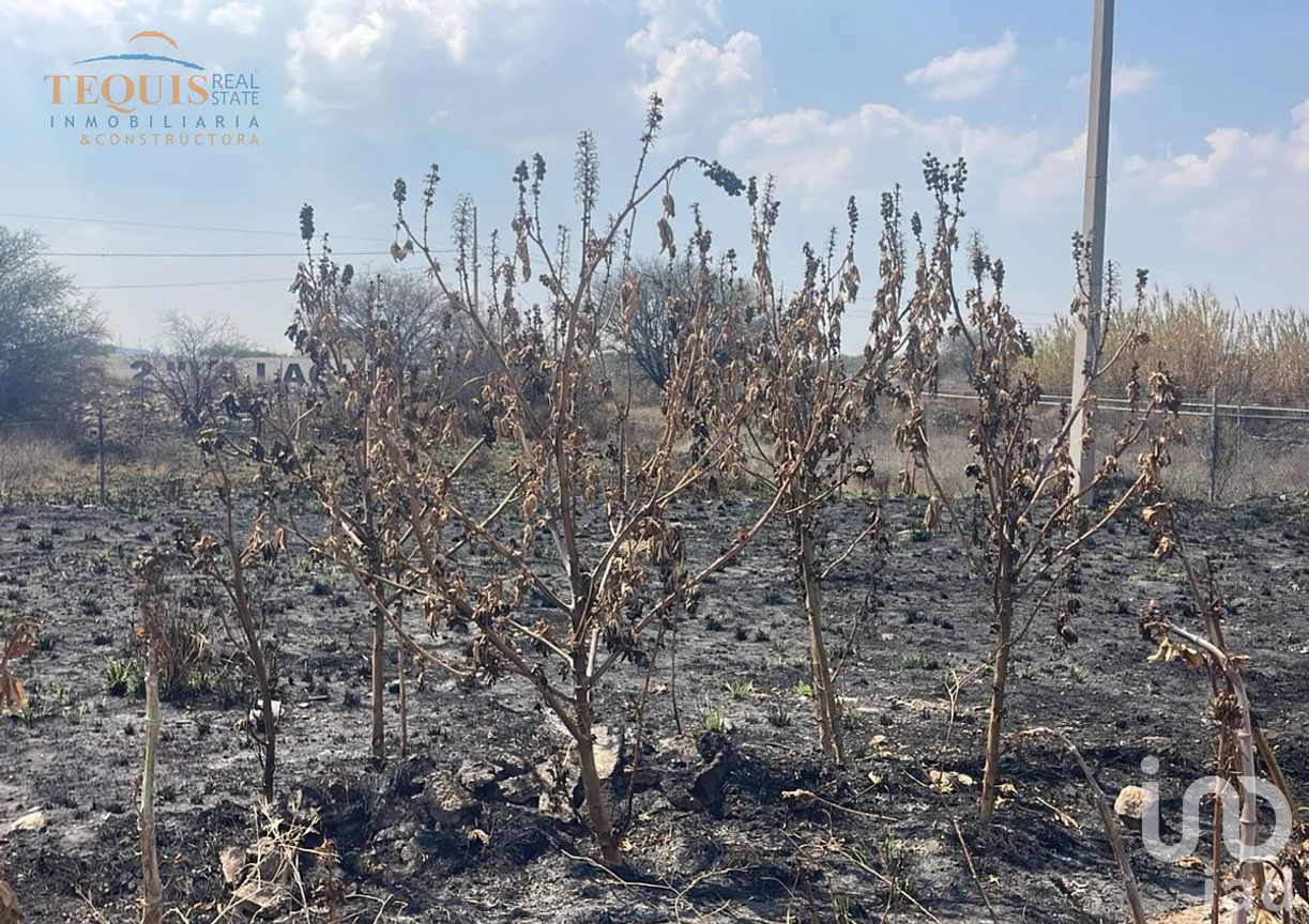 Terreno en Renta en La Lagunita, Tequisquiapan, Querétaro | NEX-292235 | iad México | Foto 2 de 3