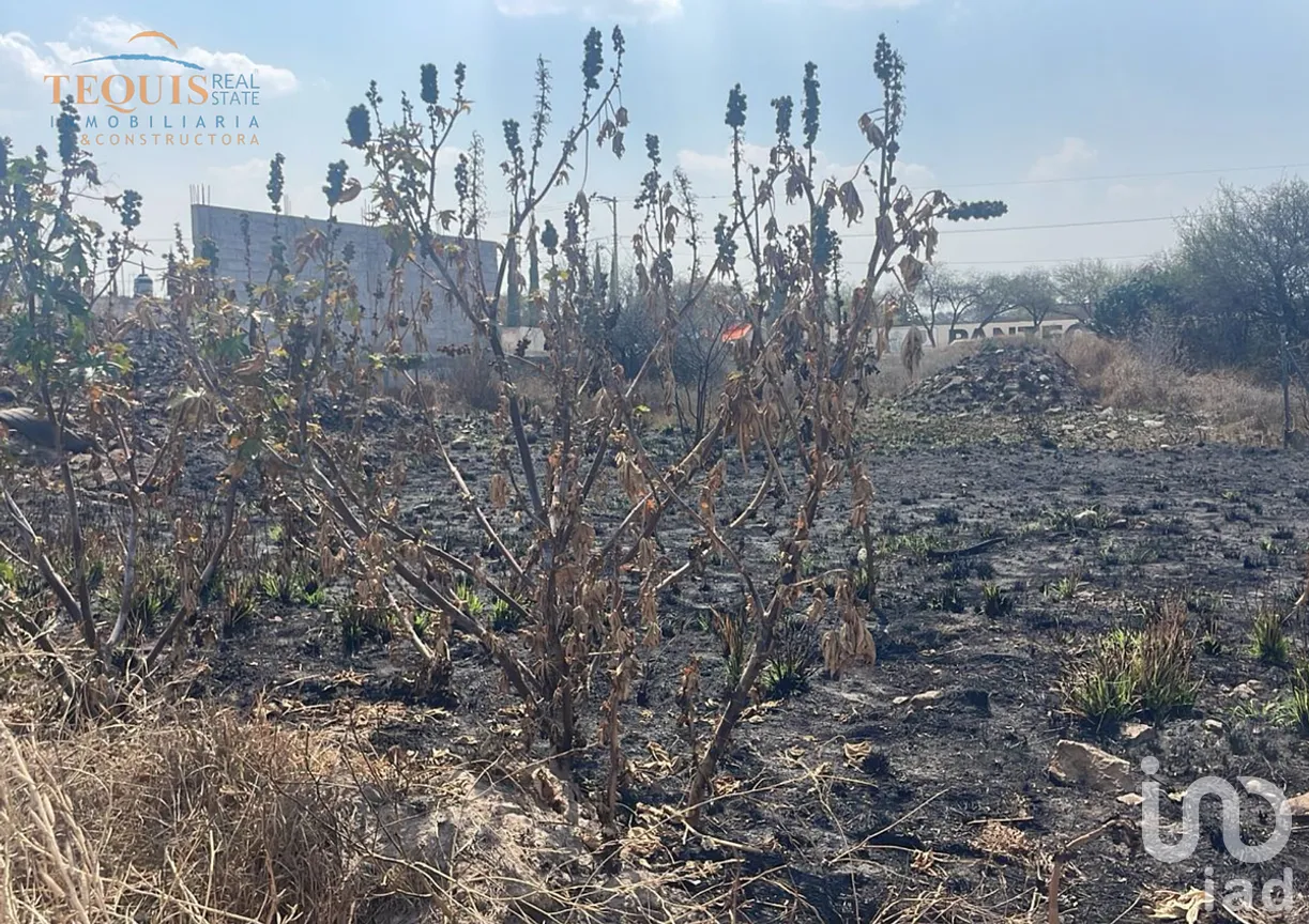 Terreno en Renta en La Lagunita, Tequisquiapan, Querétaro | NEX-292235 | iad México | Foto 3 de 3