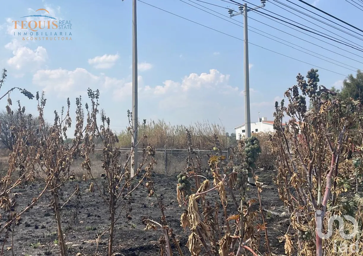 Terreno en Renta en La Lagunita, Tequisquiapan, Querétaro | NEX-292235 | iad México | Foto 1 de 3