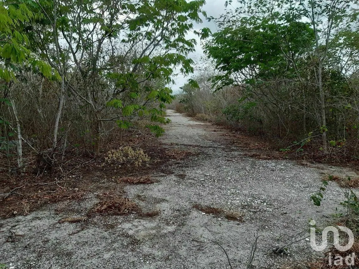 Terreno en Venta en Kikteil, Mérida, Yucatán | NEX-267694 | iad México | Foto 3 de 10