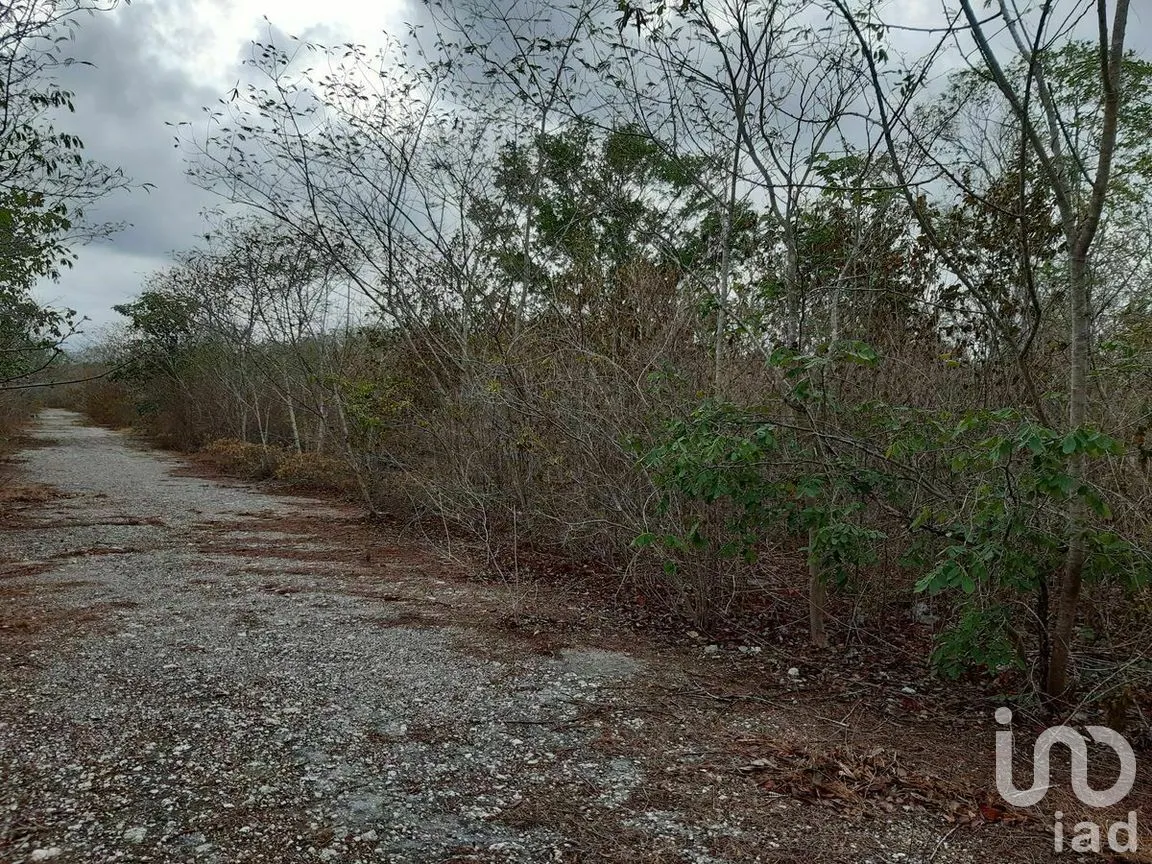 Terreno en Venta en Kikteil, Mérida, Yucatán | NEX-267694 | iad México | Foto 4 de 10