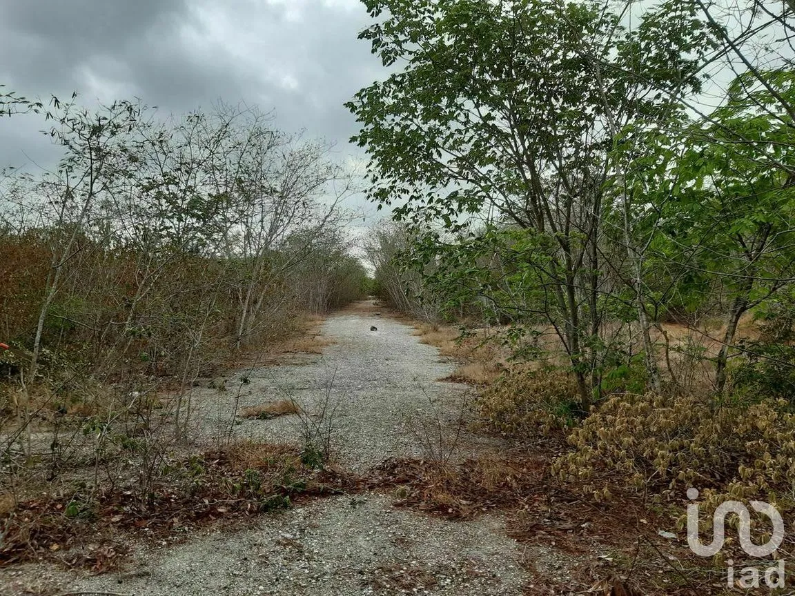 Terreno en Venta en Kikteil, Mérida, Yucatán | NEX-267694 | iad México | Foto 5 de 10