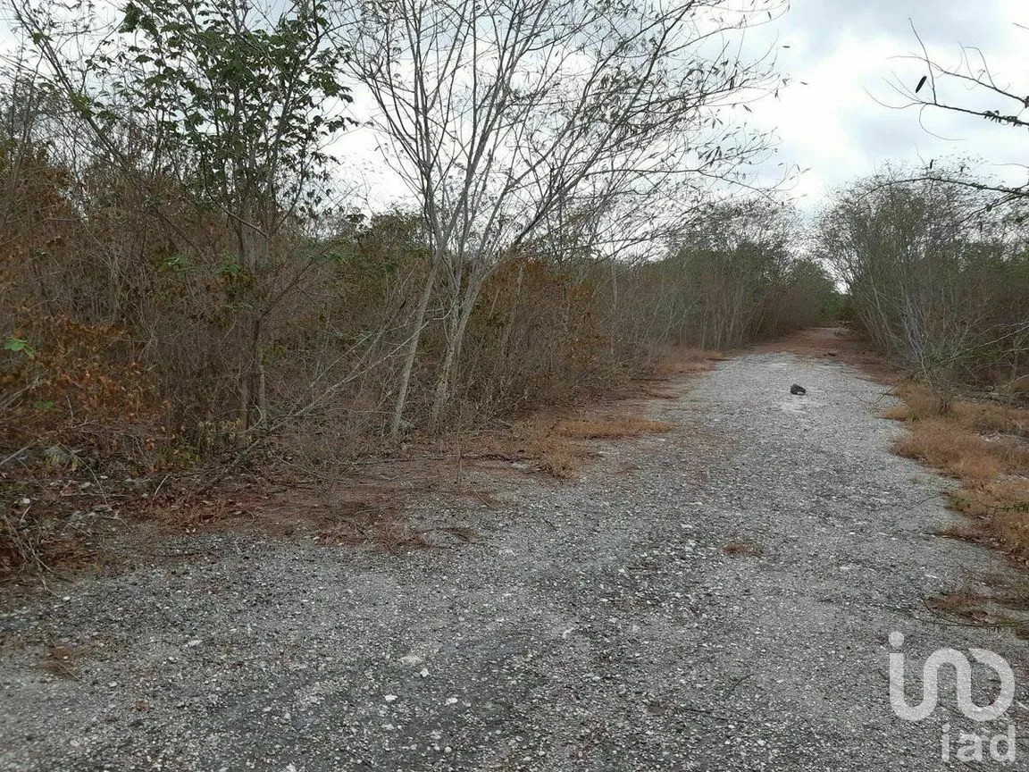 Terreno en Venta en Kikteil, Mérida, Yucatán | NEX-267694 | iad México | Foto 6 de 10