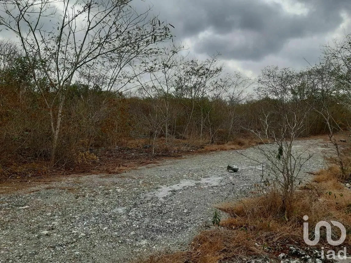 Terreno en Venta en Kikteil, Mérida, Yucatán | NEX-267694 | iad México | Foto 7 de 10