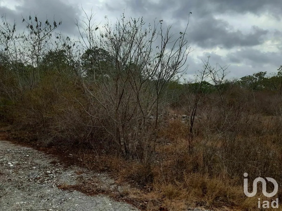 Terreno en Venta en Kikteil, Mérida, Yucatán | NEX-267694 | iad México | Foto 8 de 10