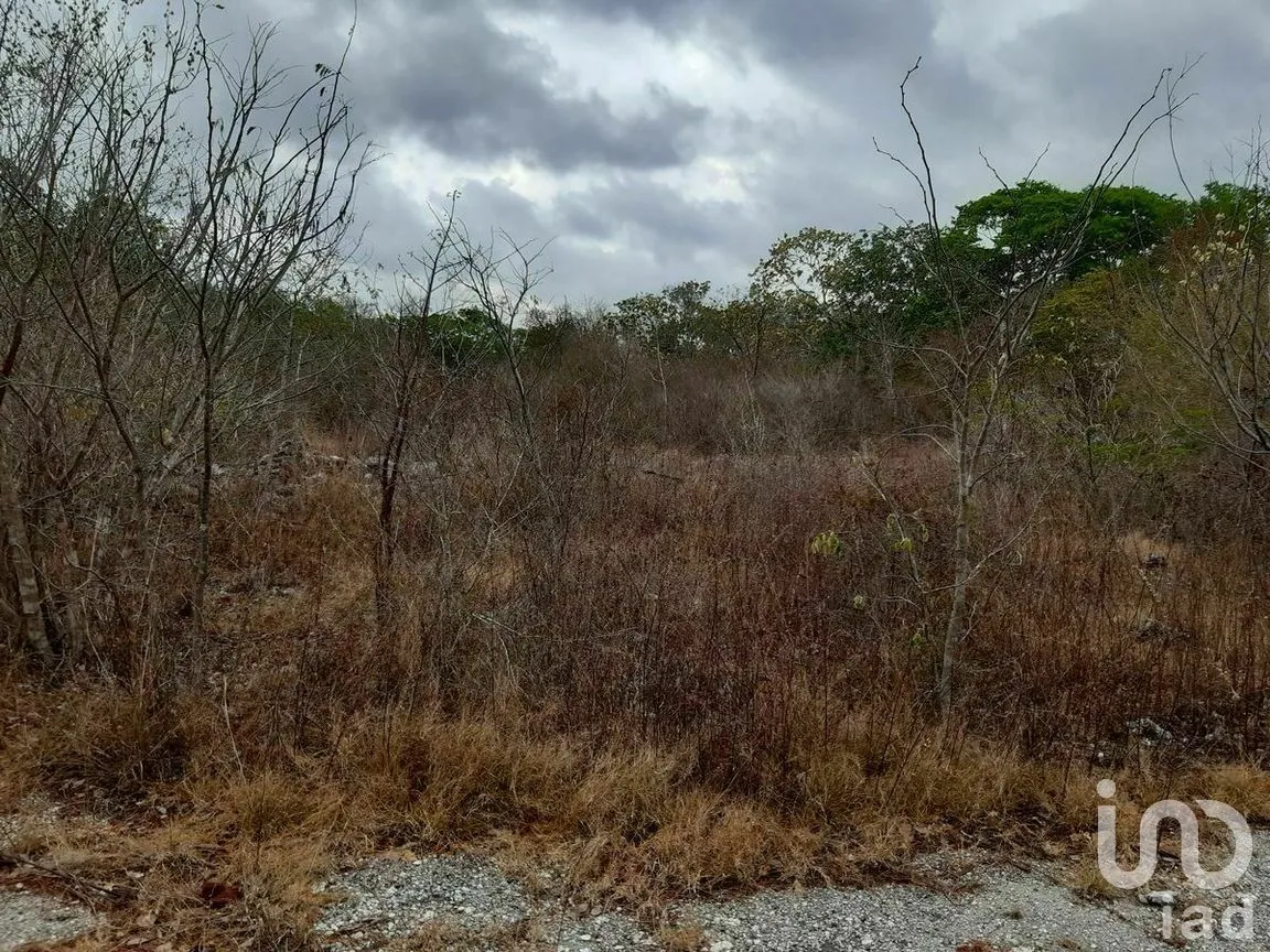 Terreno en Venta en Kikteil, Mérida, Yucatán | NEX-267694 | iad México | Foto 9 de 10