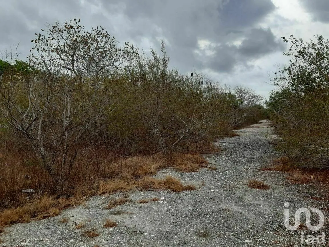 Terreno en Venta en Kikteil, Mérida, Yucatán | NEX-267694 | iad México | Foto 10 de 10