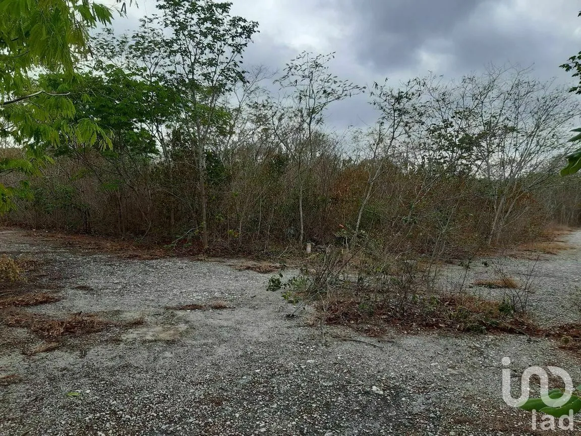 Terreno en Venta en Kikteil, Mérida, Yucatán | NEX-267694 | iad México | Foto 1 de 10