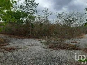 NEX-267694 - Terreno en Venta en Kikteil, CP 97303, Yucatán.