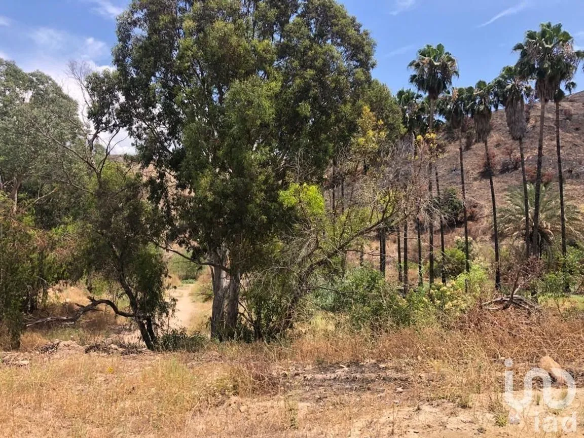 Terreno en Venta en Cañón del Sainz, Tijuana, Baja California | NEX-230424 | iad México | Foto 8 de 10
