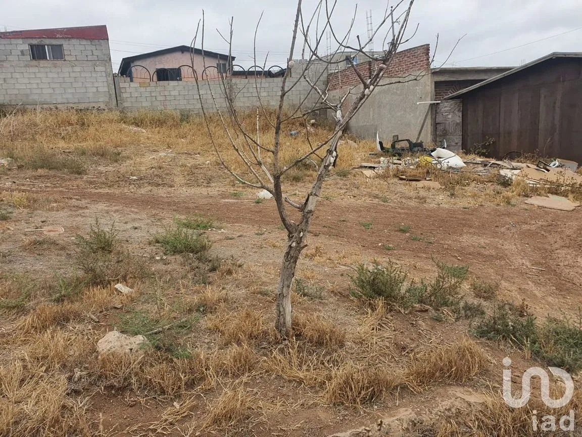 Terreno en Venta en Lomas de Montecarlo, Playas de Rosarito, Baja California | NEX-230441 | iad México | Foto 4 de 4
