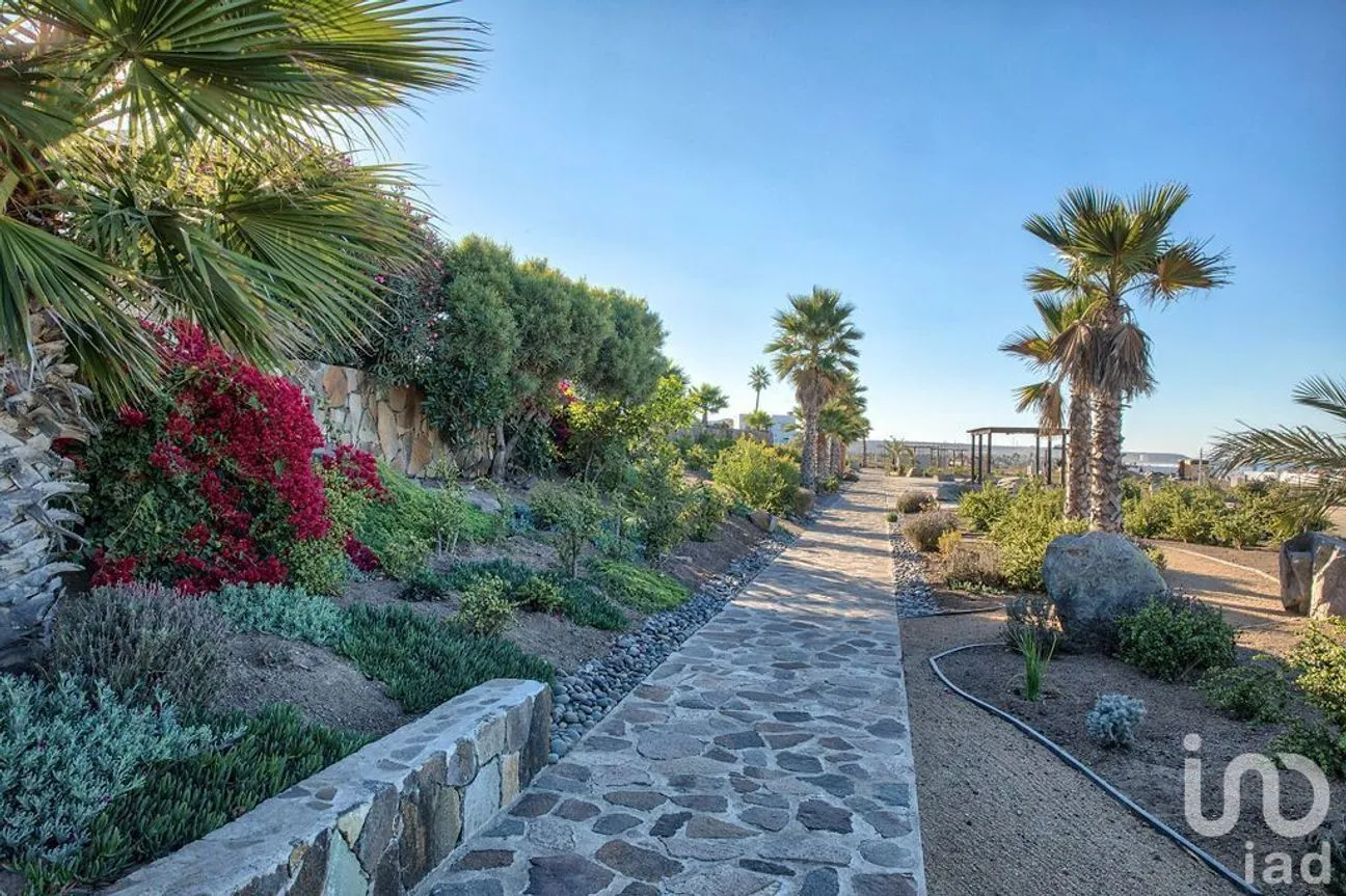 Terreno en Venta en La Misión, Ensenada, Baja California | NEX-230474 | iad México | Foto 8 de 19