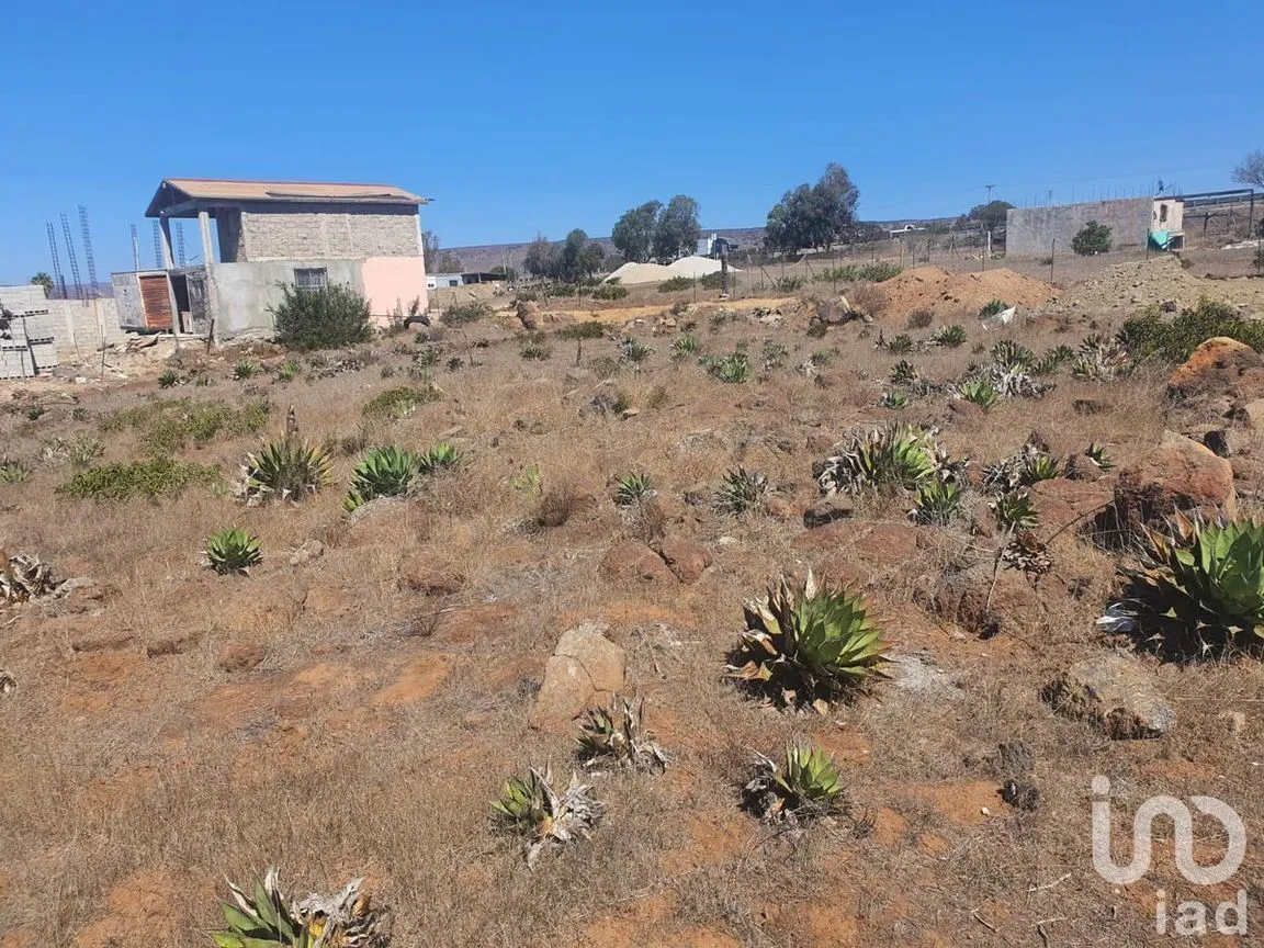 Terreno en Venta en La Salina, Ensenada, Baja California | NEX-230483 | iad México | Foto 15 de 30