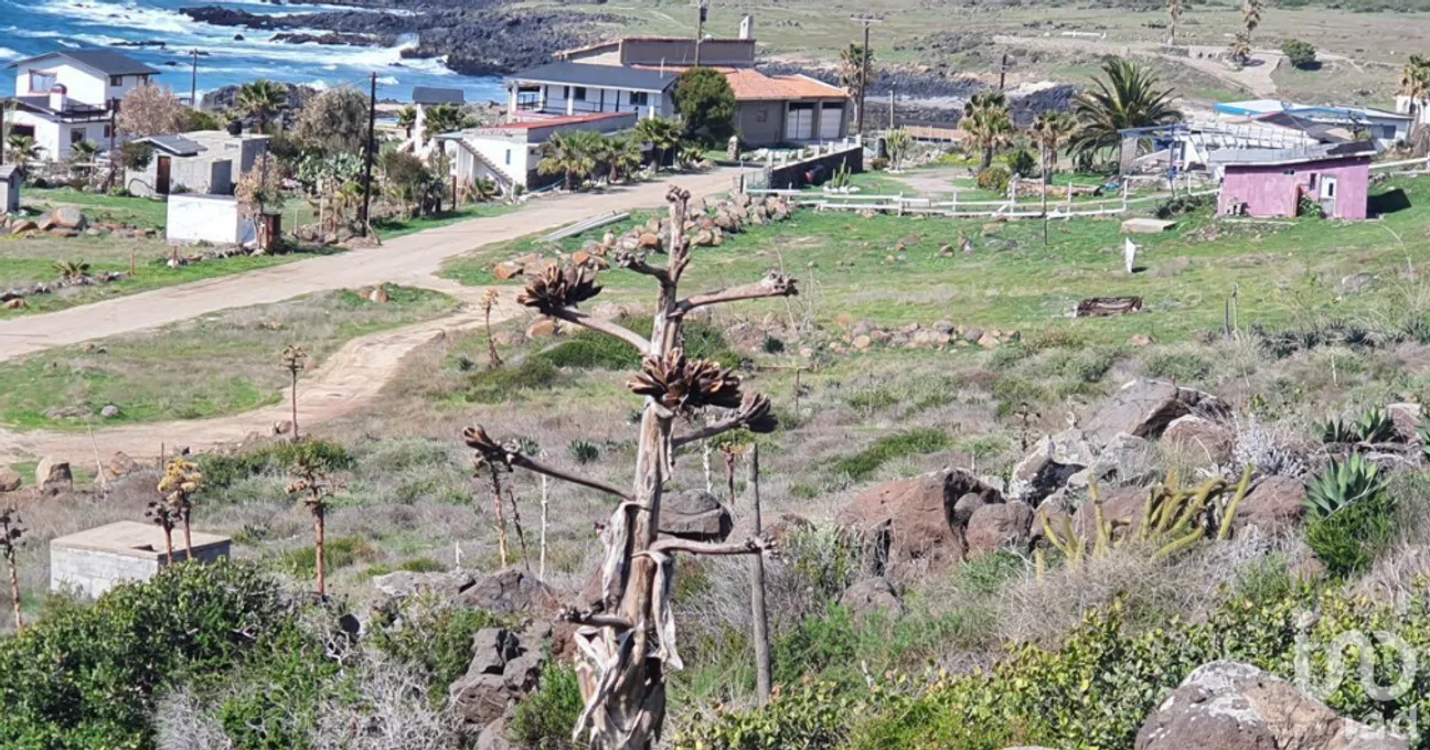 Terreno en Venta en La Salina, Ensenada, Baja California | NEX-230483 | iad México | Foto 9 de 30