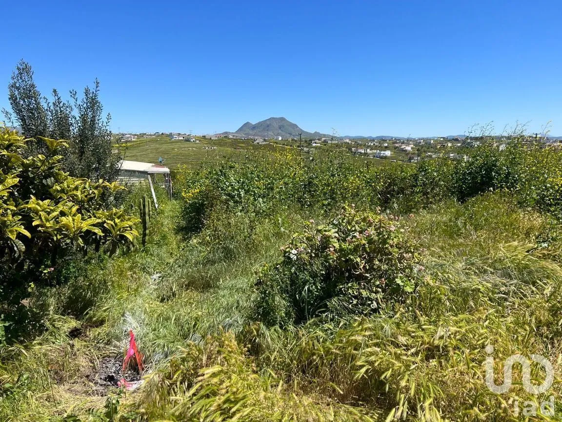 Terreno en Venta en Terrazas del Pacífico, Playas de Rosarito, Baja California | NEX-230498 | iad México | Foto 11 de 15