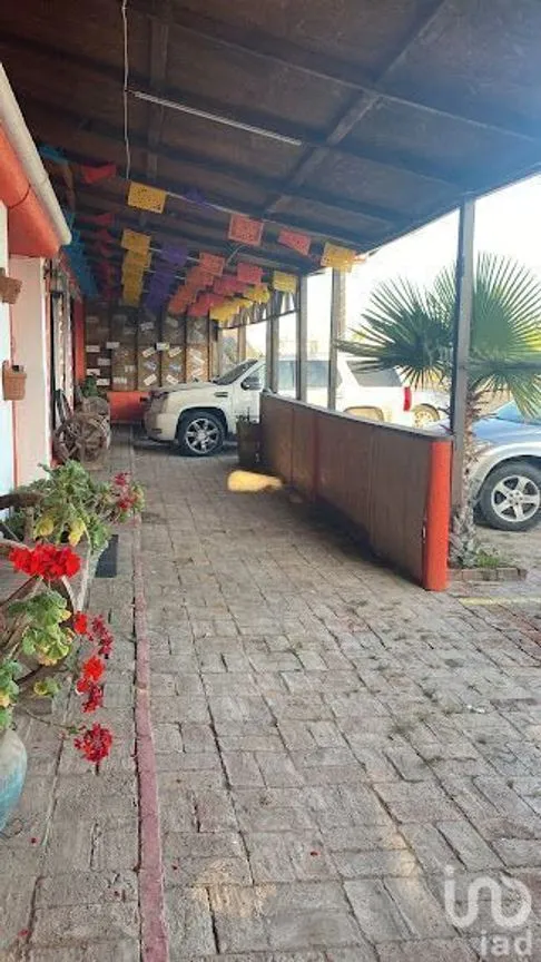 Local en Renta en Las Gaviotas, Playas de Rosarito, Baja California | NEX-230500 | iad México | Foto 11 de 12