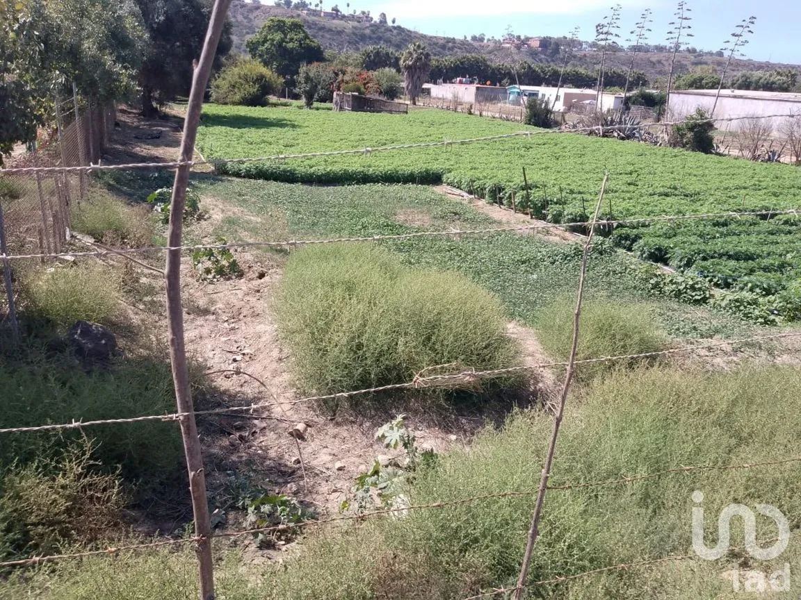 Terreno en Venta en El Descanso, Playas de Rosarito, Baja California | NEX-230507 | iad México | Foto 4 de 12