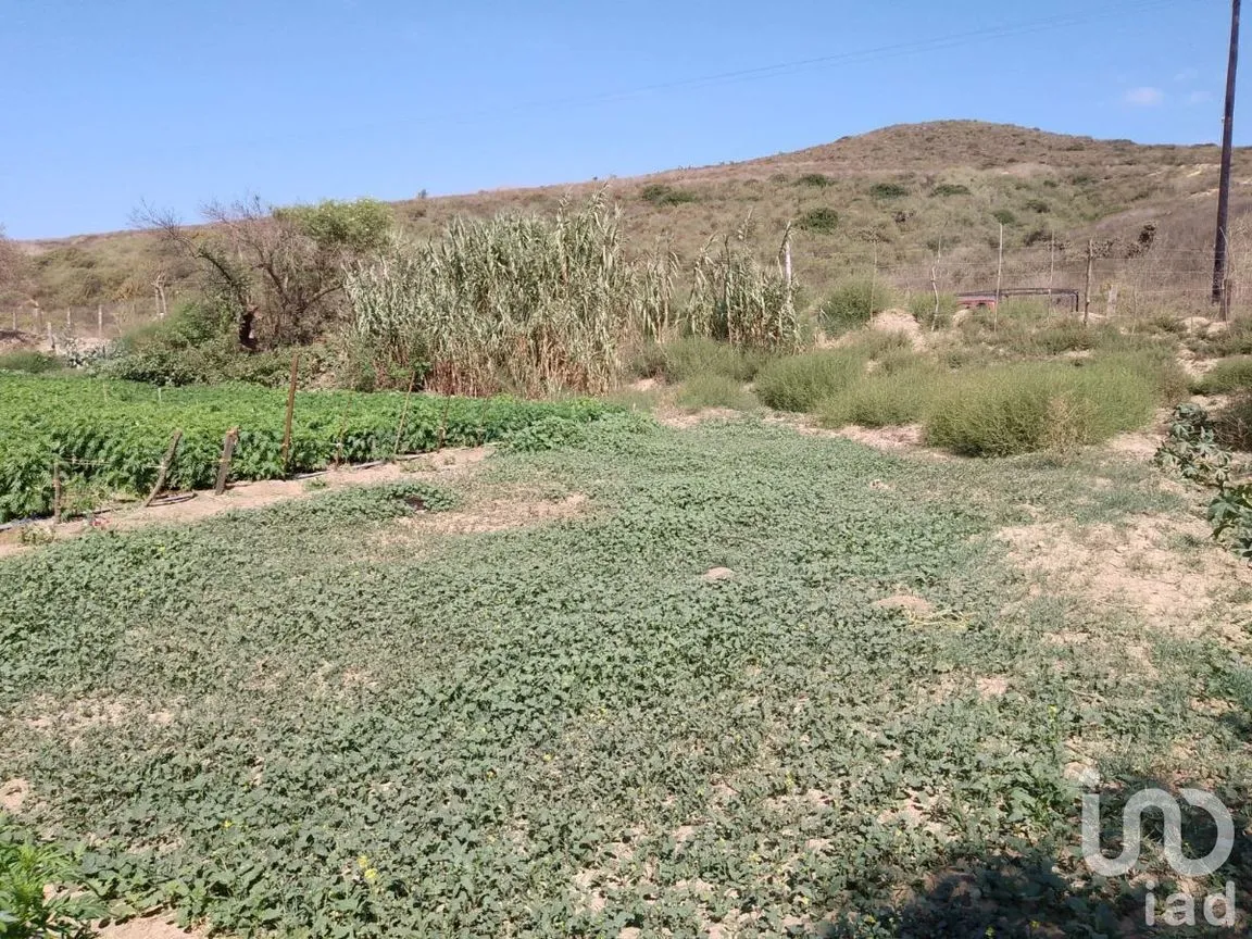 Terreno en Venta en El Descanso, Playas de Rosarito, Baja California | NEX-230507 | iad México | Foto 5 de 12