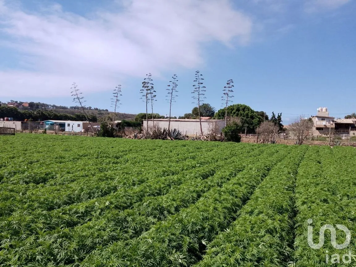 Terreno en Venta en El Descanso, Playas de Rosarito, Baja California | NEX-230507 | iad México | Foto 6 de 12