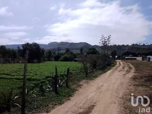 NEX-230507 - Terreno en Venta en El Descanso, CP 22744, Baja California.