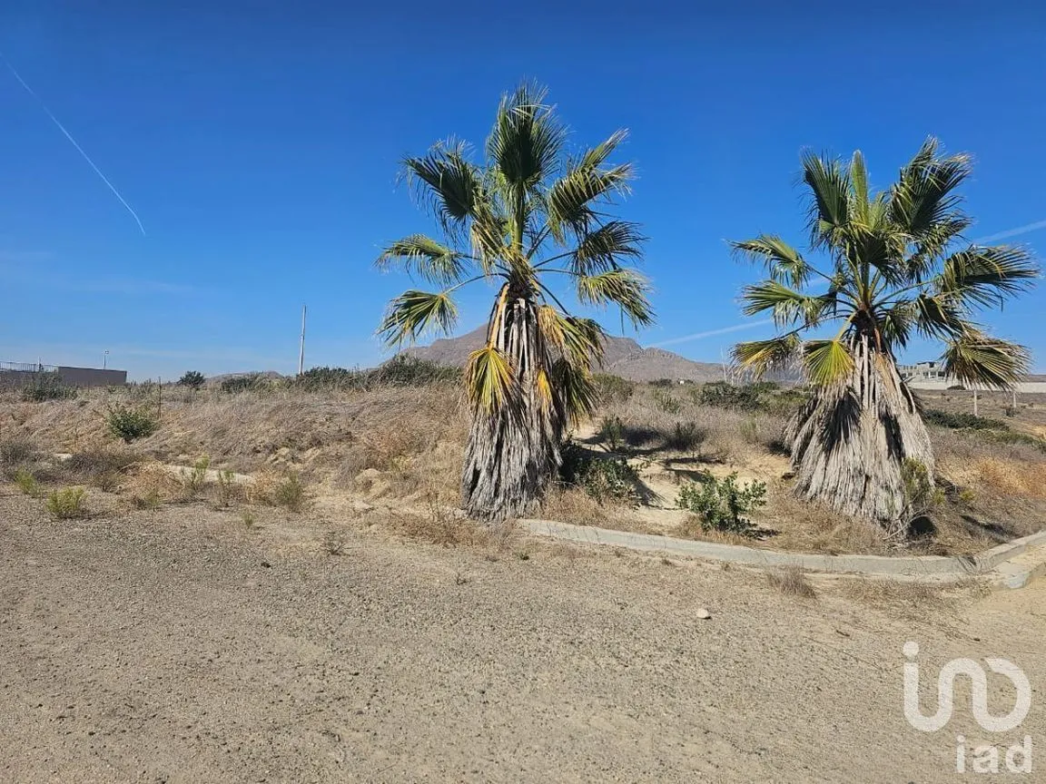 Terreno en Venta en Campo Real, Playas de Rosarito, Baja California | NEX-230509 | iad México | Foto 6 de 9