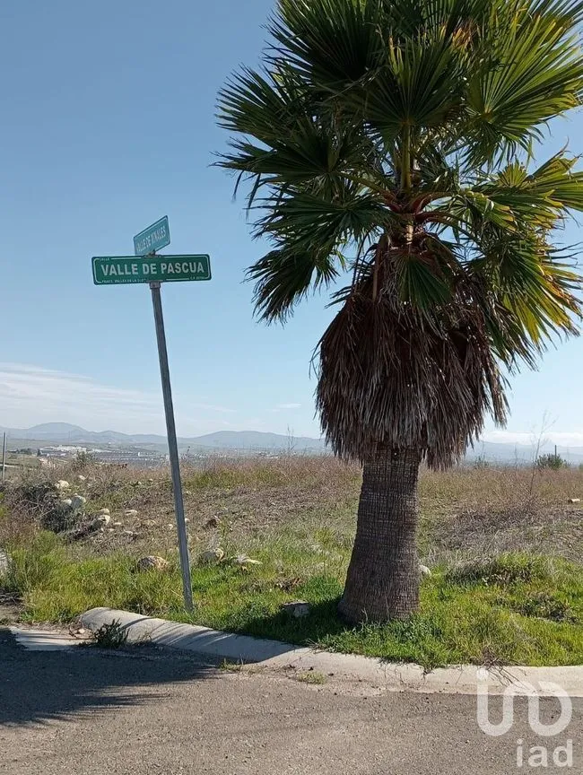 Terreno en Venta en Plan Libertador, Playas de Rosarito, Baja California | NEX-230554 | iad México | Foto 29 de 32