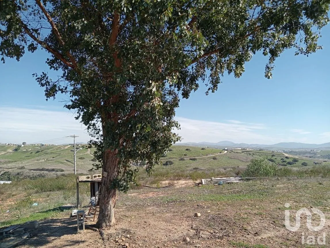 Terreno en Venta en Plan Libertador, Playas de Rosarito, Baja California | NEX-230554 | iad México | Foto 8 de 32