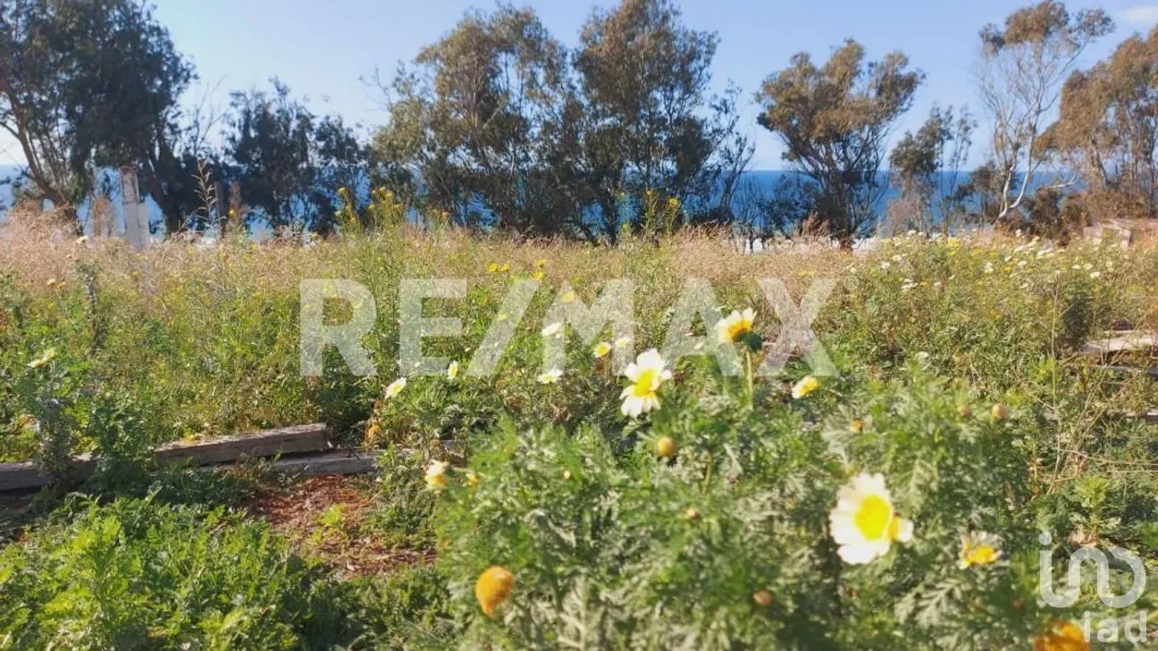 Terreno en Venta en El Descanso, Playas de Rosarito, Baja California | NEX-230570 | iad México | Foto 10 de 11