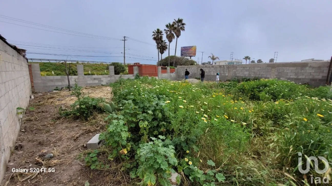 Terreno en Venta en Reforma, Playas de Rosarito, Baja California | NEX-230575 | iad México | Foto 12 de 47