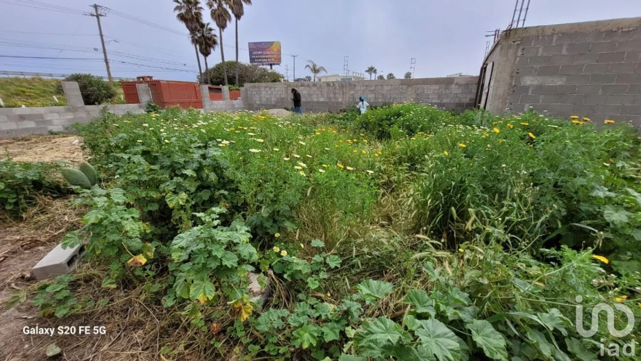 Terreno en Venta en Reforma, Playas de Rosarito, Baja California | NEX-230575 | iad México | Foto 13 de 47