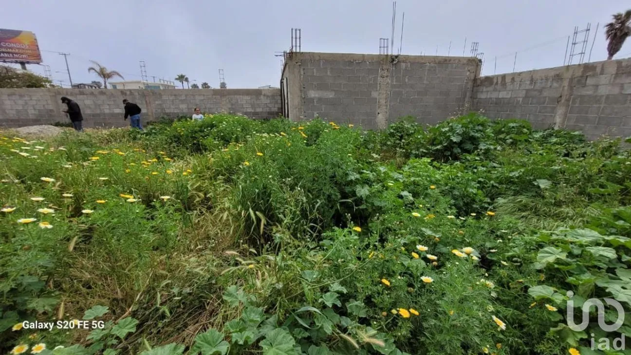 Terreno en Venta en Reforma, Playas de Rosarito, Baja California | NEX-230575 | iad México | Foto 14 de 47