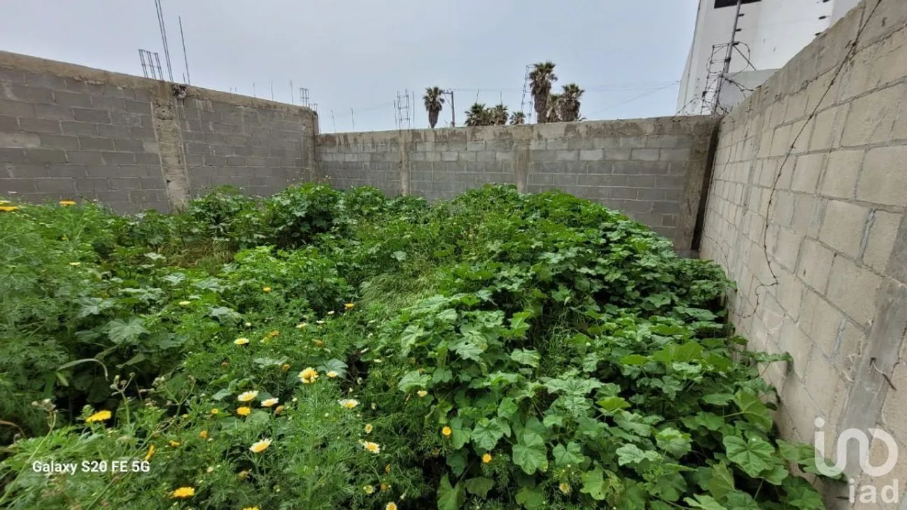 Terreno en Venta en Reforma, Playas de Rosarito, Baja California | NEX-230575 | iad México | Foto 15 de 47