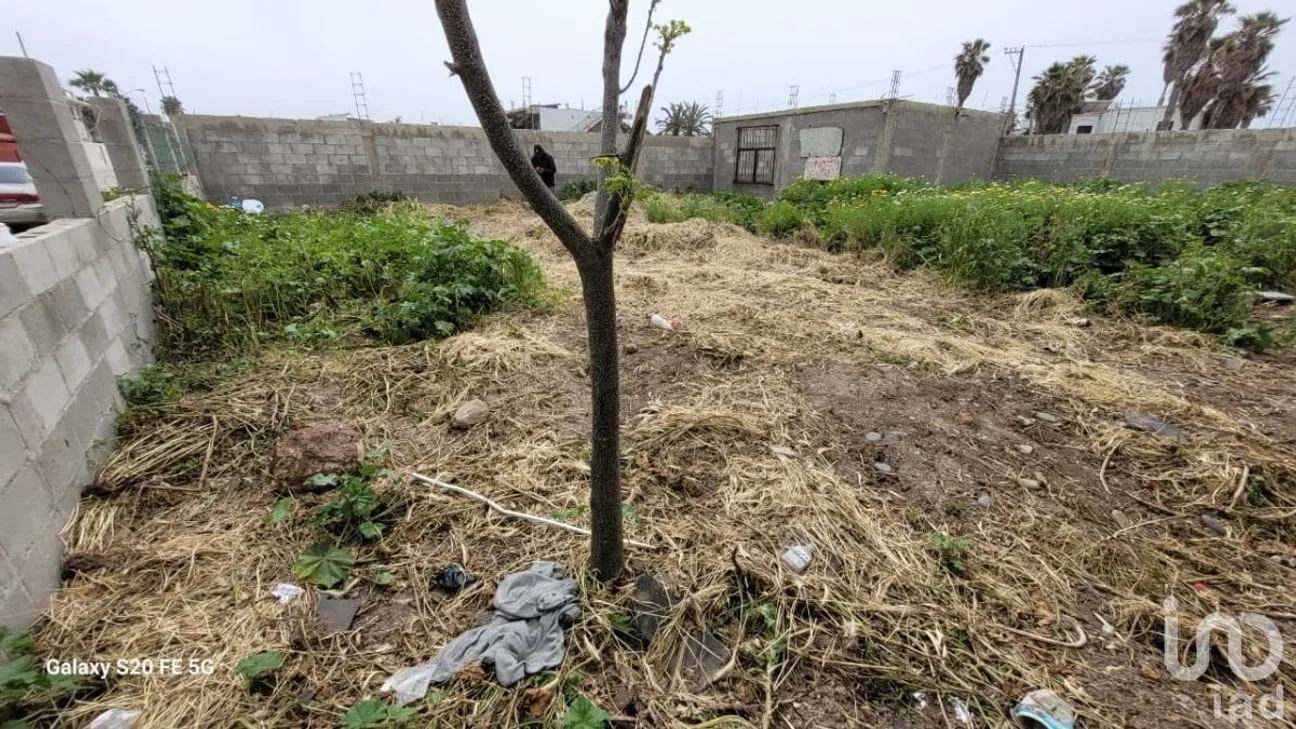 Terreno en Venta en Reforma, Playas de Rosarito, Baja California | NEX-230575 | iad México | Foto 16 de 47