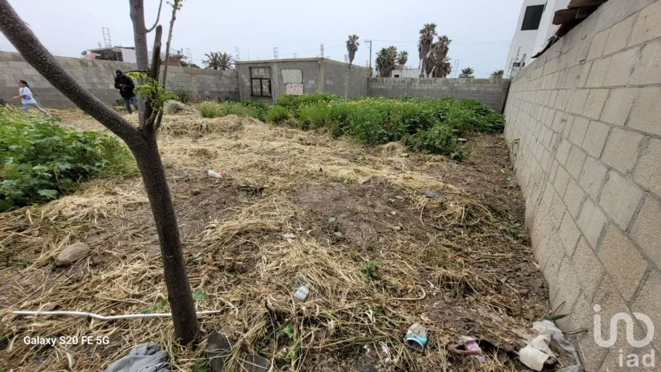 Terreno en Venta en Reforma, Playas de Rosarito, Baja California | NEX-230575 | iad México | Foto 17 de 47