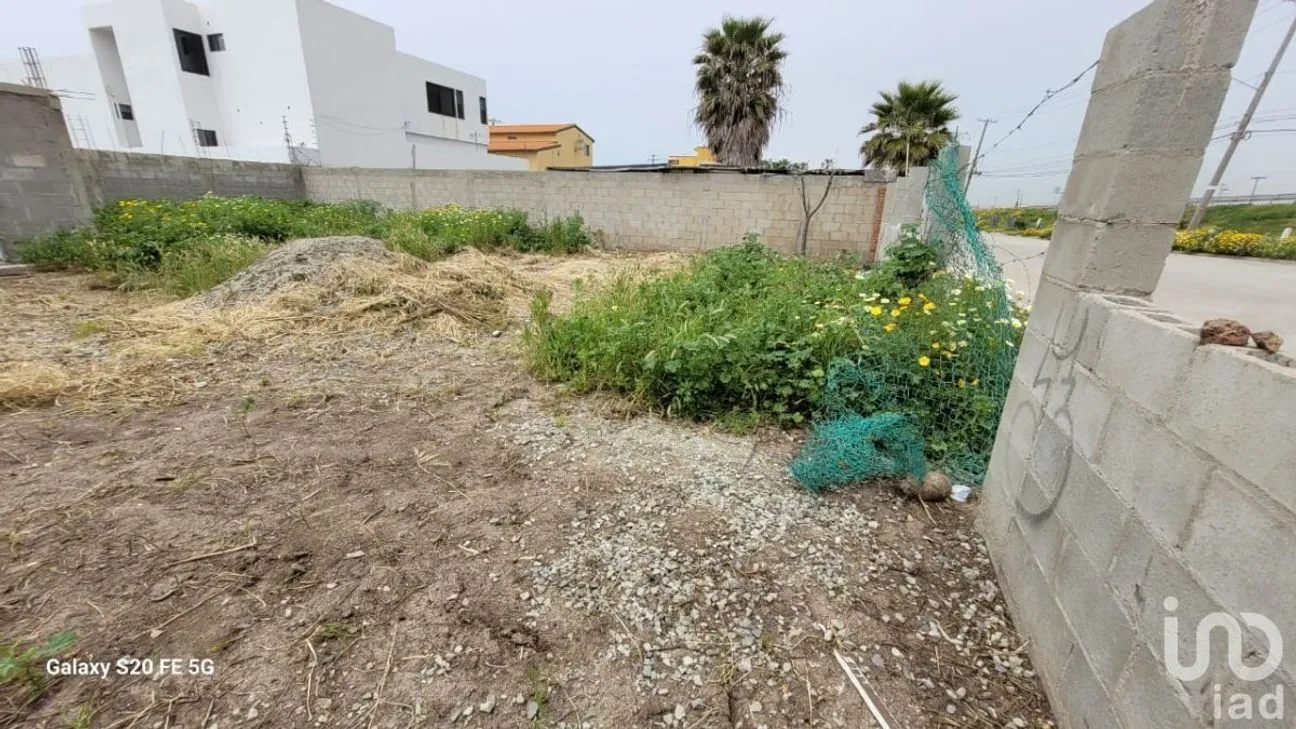 Terreno en Venta en Reforma, Playas de Rosarito, Baja California | NEX-230575 | iad México | Foto 10 de 47